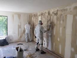 Trusted Cliffside Park, NJ Mold Removal & Remediation Experts